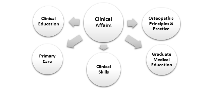 clinical affairs